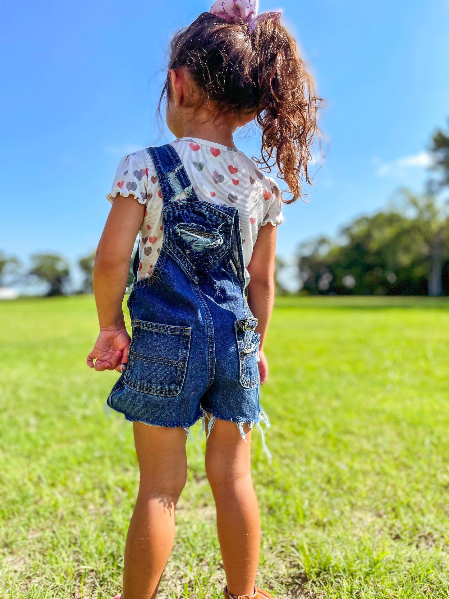 Distressed Shorts Overalls