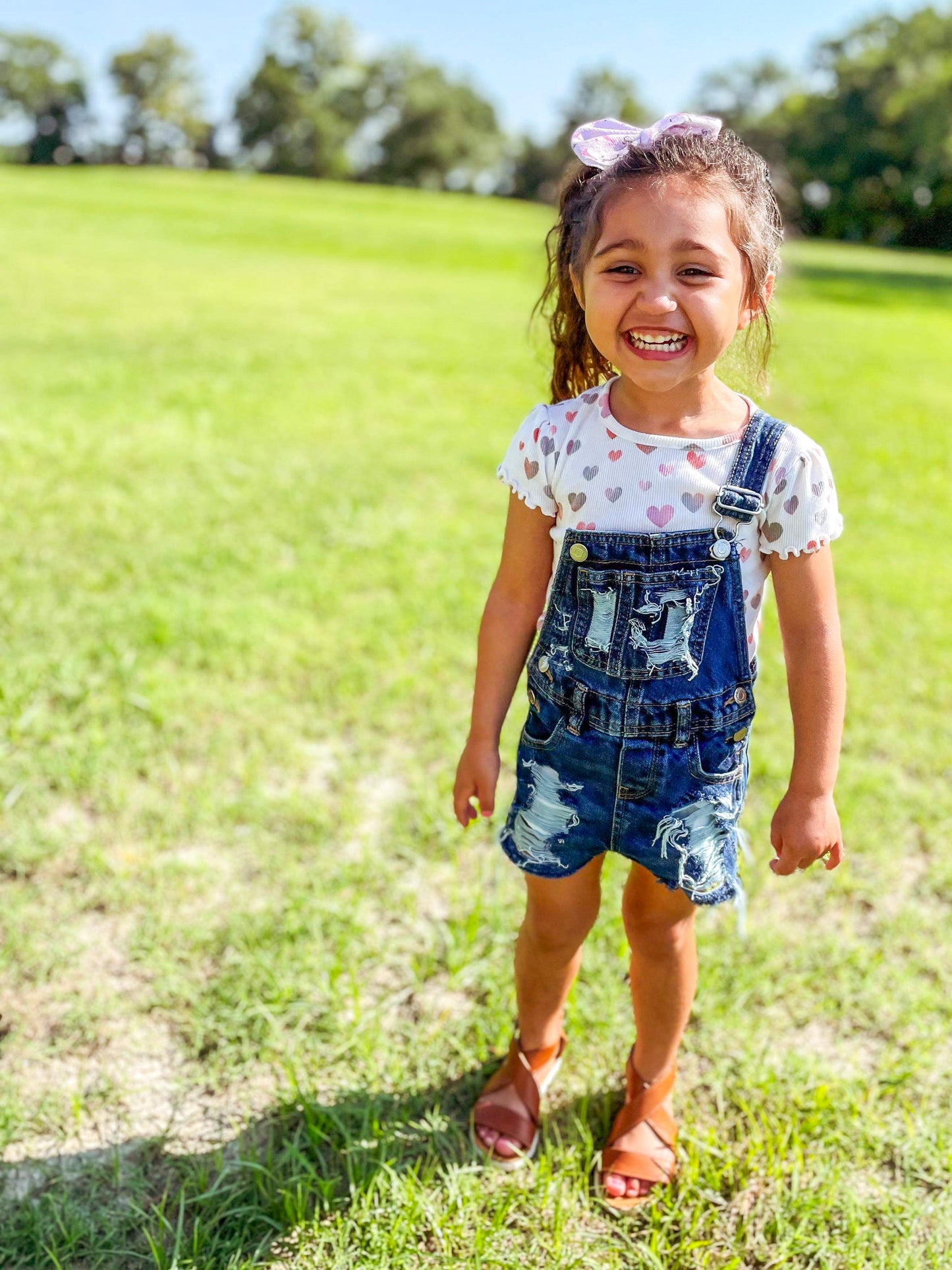 Distressed Shorts Overalls