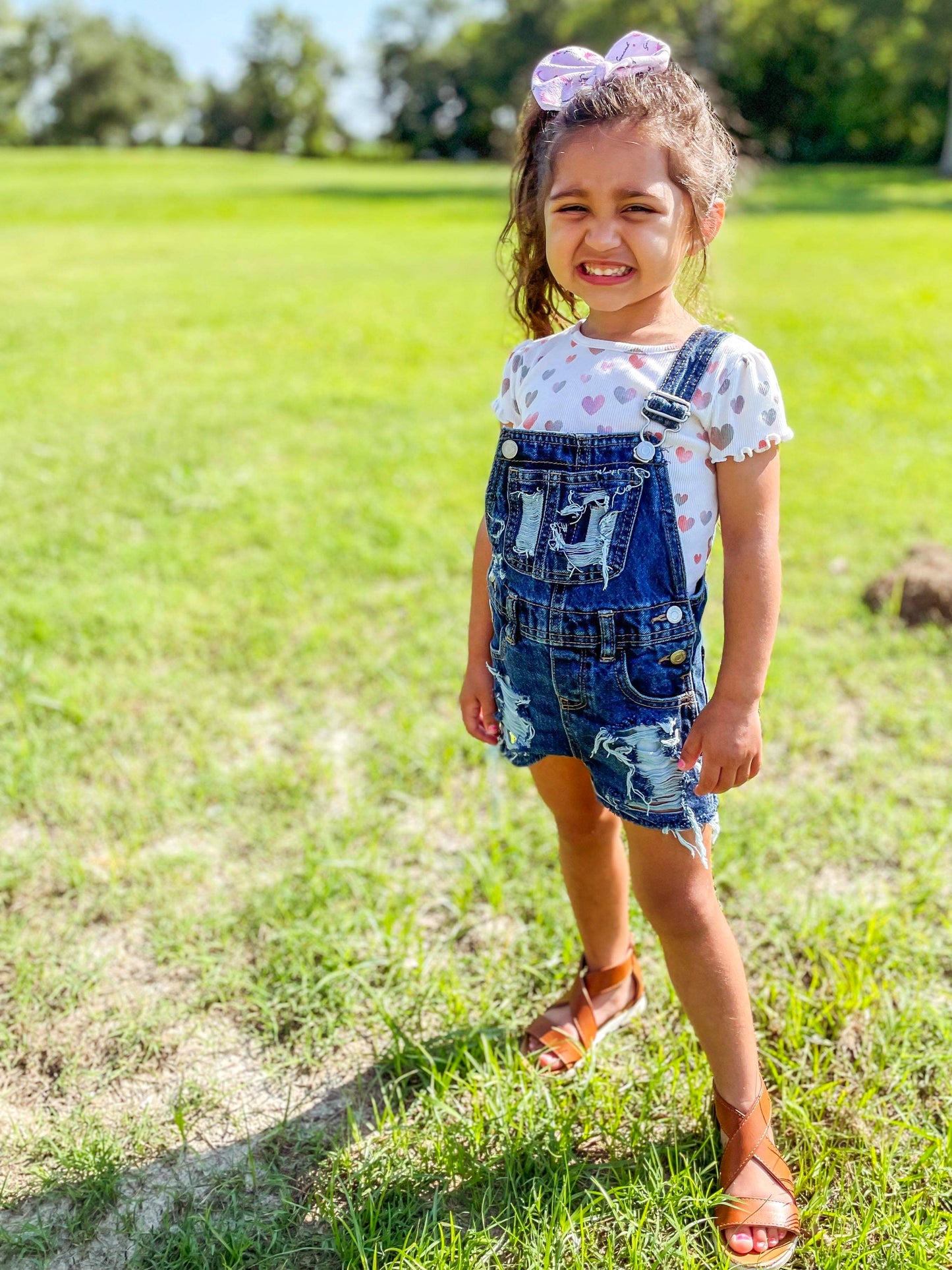 Distressed Shorts Overalls